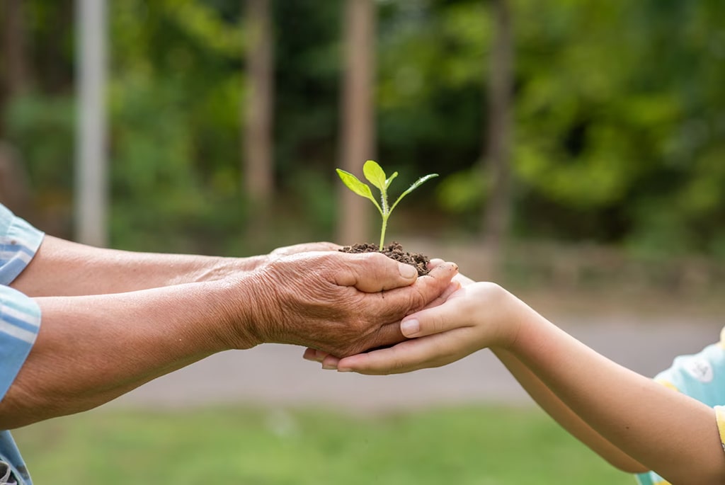 elderly-person-children-holding-plant_1150-18573-min