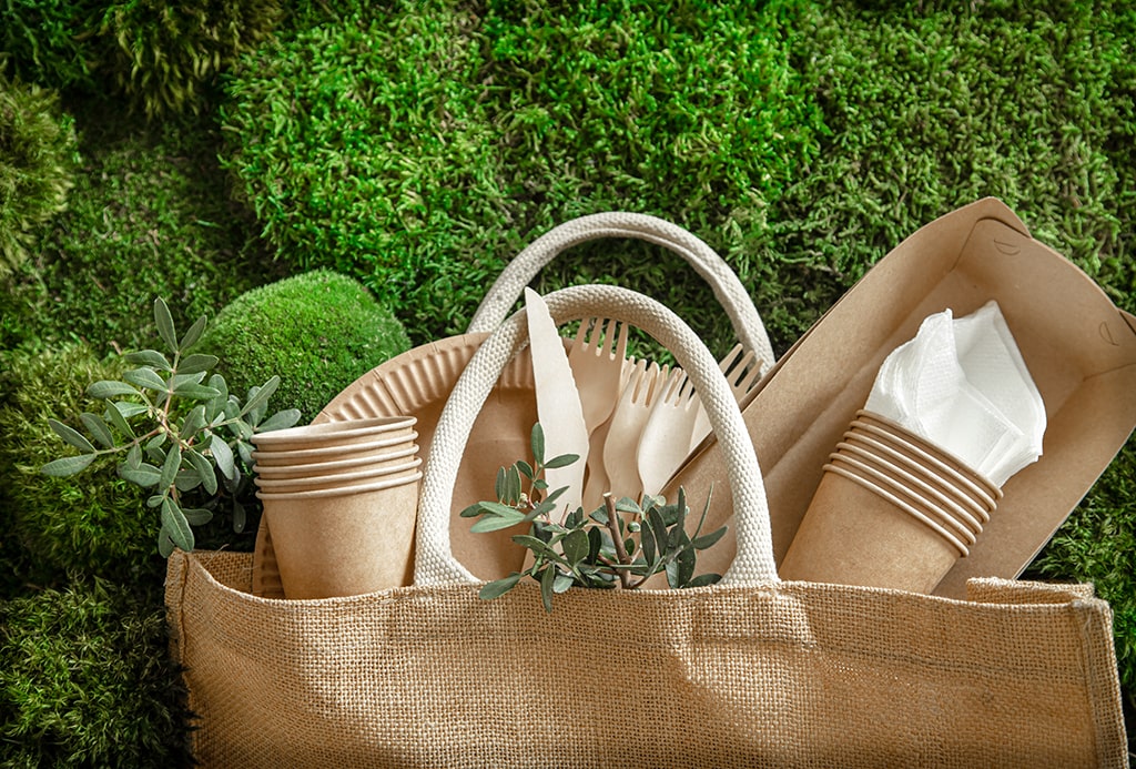 environmentally-friendly-disposable-recyclable-tableware-min